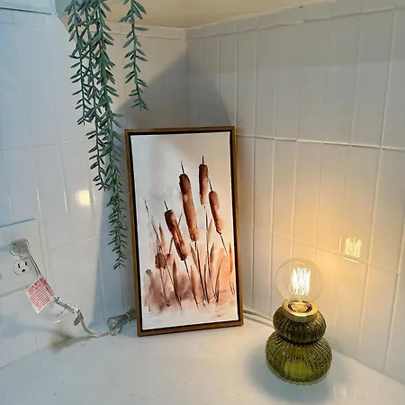 Campus Cottage Kng Bed! Walk To Uco And Downtown Edmond Extérieur photo